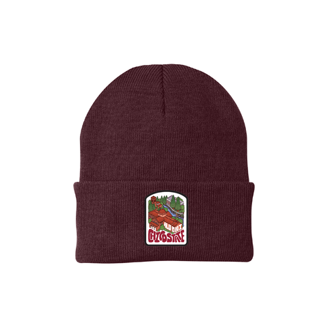 Chico State Alumni Beanie