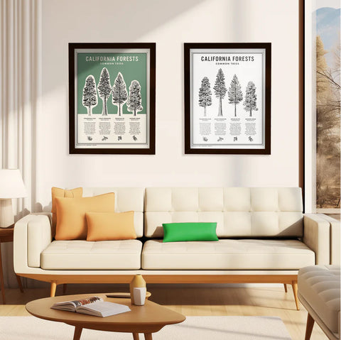 Large Format Paper Printing 24"